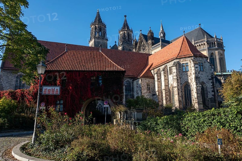 Magdeburg Cathedral with red autumn leaves at the Remtergang, Magdeburg, Saxony-Anhalt, Germany, Europe