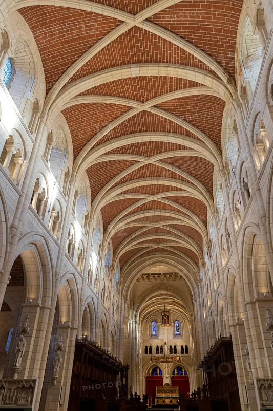 Vaulted roof ceiling interior of Buckfast abbey church, Buckfast Abbey, Devon. England, UK
