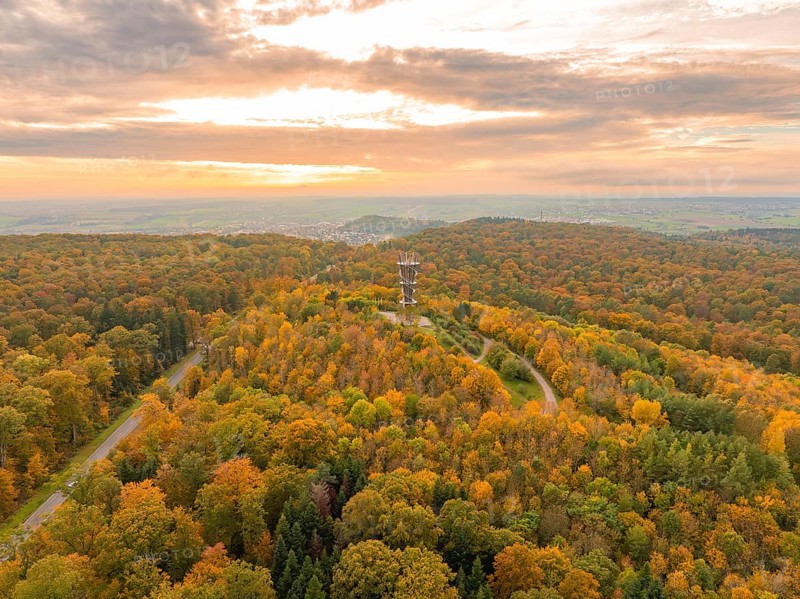 Forest landscape in autumn with an observation tower and colourful foliage under a slightly cloudy sky, Schönbuchturm, Herrenberg, Germany, Europe