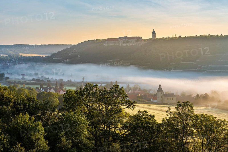 View of Freyburg with Neuenburg Castle, in front the church of Nißmitz, morning fog in the Unstrut valley, Freyburg (Unstrut), Saxony-Anhalt, Germany, Europe