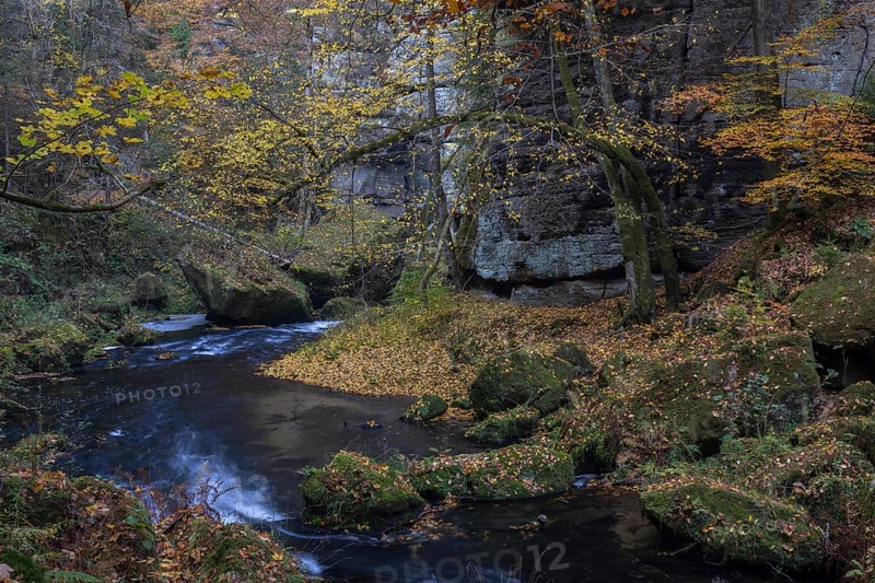 Flowing water with ferns and rocks in the Edmunds Gorge in autumn. River Kamnitz, Hrensko, Ustecky kraj, Czech Republic, Europe