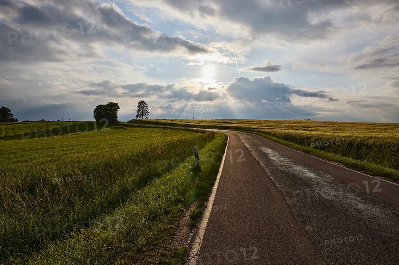 Crop field, trees, backlight of the sun, blue sky, cumulus clouds, nimbostratus clouds, country road L42, Newel, district Trier-Saarburg, Rhineland-Palatinate, Germany, Europe