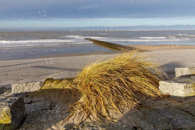 Paved beach promenade and groyne on the west beach of Norderney, Lower Saxony, Germany, Europe