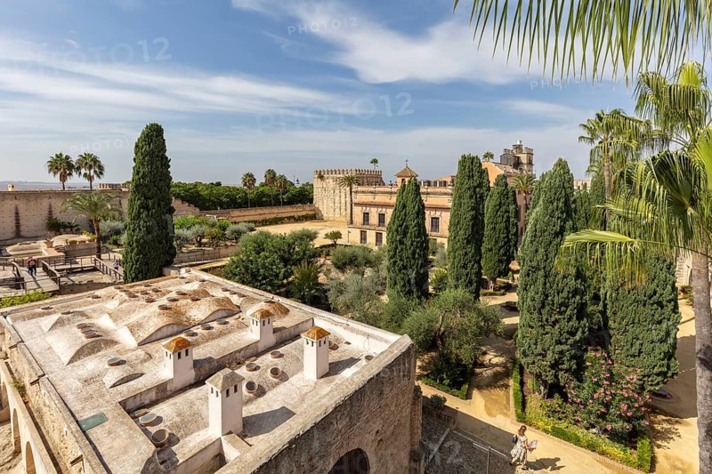 View of a green garden with historic buildings and palm trees, Jerez