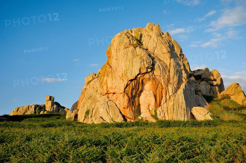 Large boulders in the evening light surrounded by ferns on the Pink Granite Coast in Brittany, Pors Scaff, Côtes-d'Armor, France, Europe