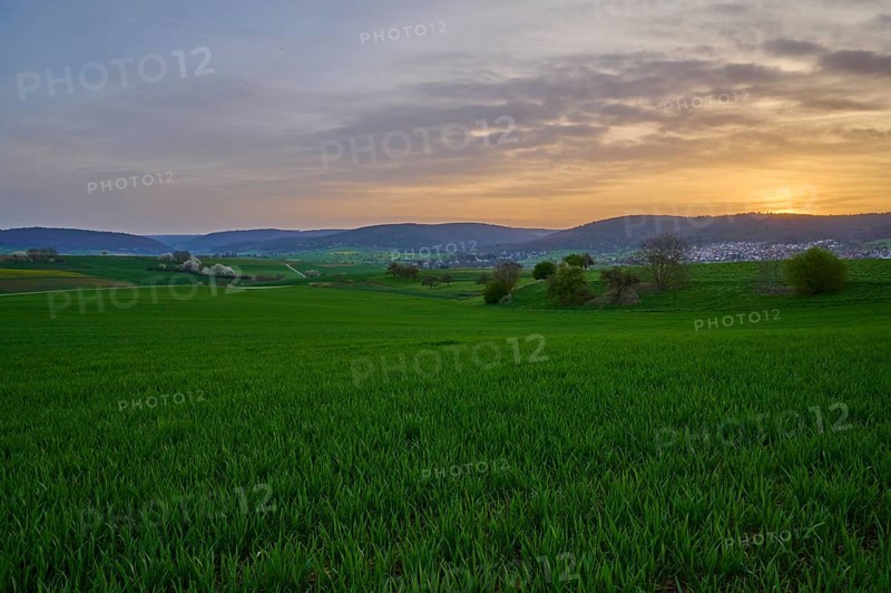Green meadow in hilly landscape at sunrise with soft clouds in the sky, Mönchberg, Mltenberg, Spessart, Bavaria, Germany, Europe