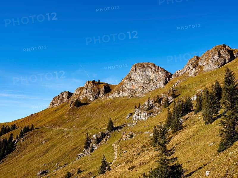 Hiking trails in the Rotwand area below the Rotwand-Köpfe, Mangfall mountains, Spitzingsee, Upper Bavaria, Bavaria, Germany, Europe