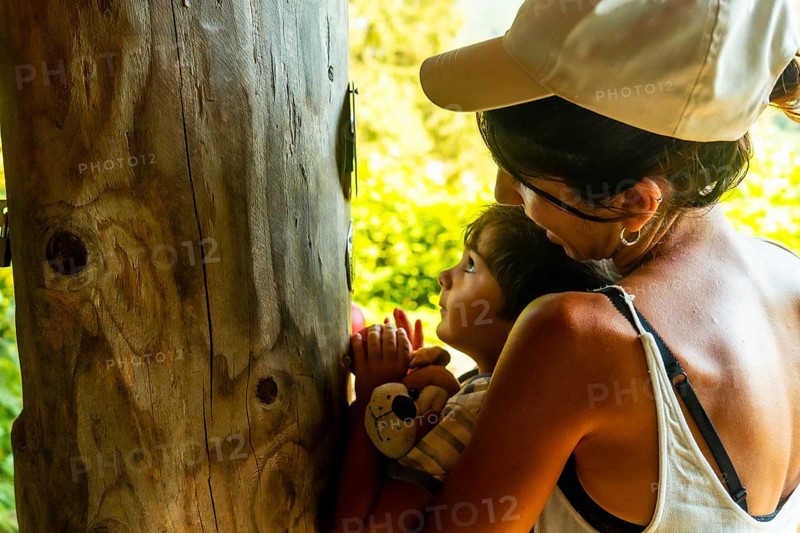 Mother and son smelling a tree in a sensory park to enjoy nature and the senses, Black Forest, Germany, Europe