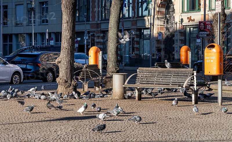 Pigeon droppings, dirty pavement at Hausvogteiplatz, Berlin, Germany, Europe