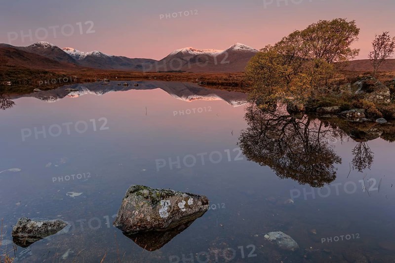 Mountains reflected in lake, morning light, morning mood, still, autumn, snowy, Lochan na h-Achlaise, Scottish Highlands, Scotland, Great Britain