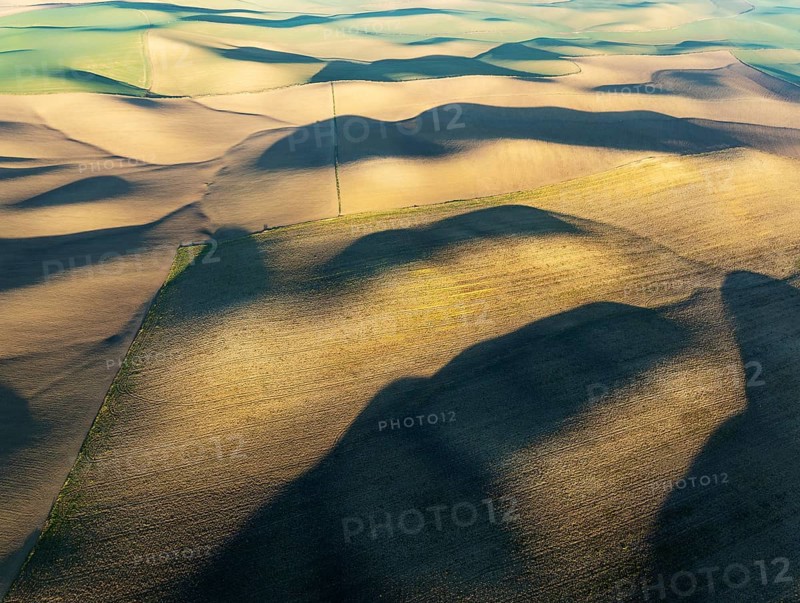 Farmland in the Campiña Cordobesa, the fertile rural area south of the town of Córdoba. Aerial view. Drone shot. Córdoba province, Andalusia, Spain, Europe