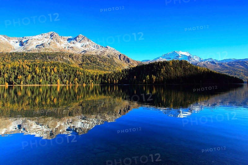 Silvaplaner Lake, larch forest, Engadin, Grisons, Switzerland, Europe