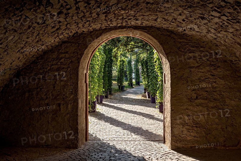 Passage through medieval town wall, vaults of the Bienenmarkt Passage, outside pergola with magnificent bindweed (Ipomoea) in pots, historic old town, Michelstadt, Odenwald, Hesse, Germany, Europe
