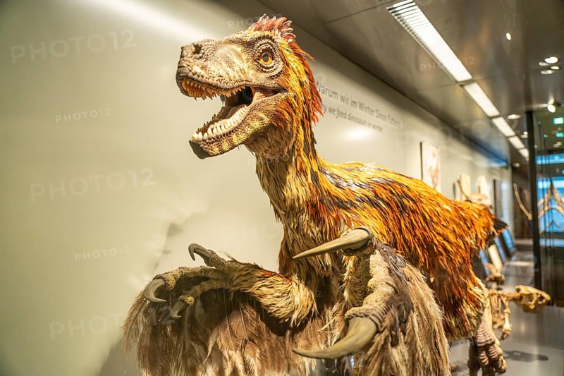 Dinosaur model, Natural History Museum Vienna, Austria, iEurope, Europe