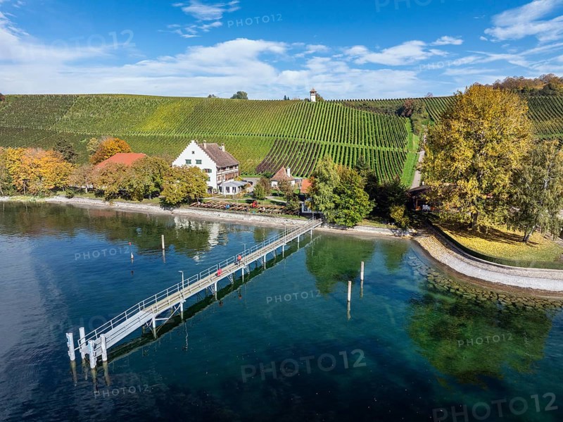 Aerial view of the jetty at the historic Rebgut Haltnau with catering business, outdoor catering and event venue, behind it a vineyard with wine tower, Meersburg, Lake Constance, Lake Constance district, Baden-Württemberg, Germany, Europe