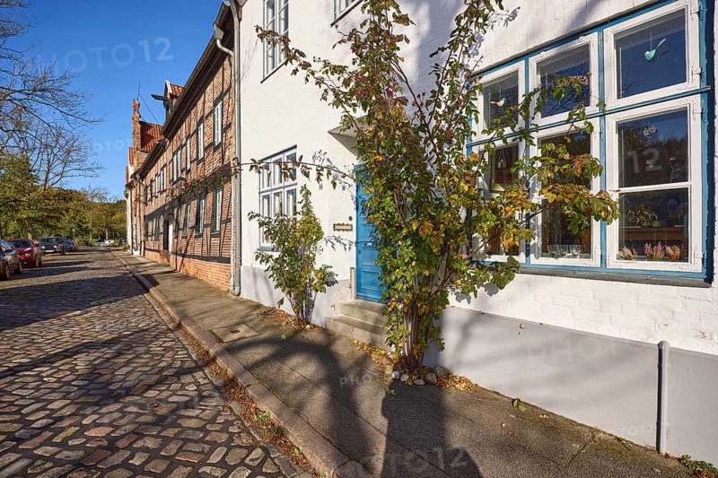 Entrance area of a historic house with evergreen rose (Rosa sempervirens), street An der Obertrave, Old Town, Hanseatic City of Lübeck, independent city, Schleswig-Holstein, Germany, Europe