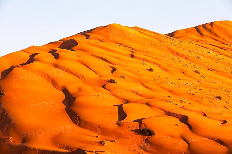 Wind-sculpted curved sand dunes in the evening light, in the Rub al Khali desert, Dhofar province, Arabian Peninsula, Sultanate of Oman