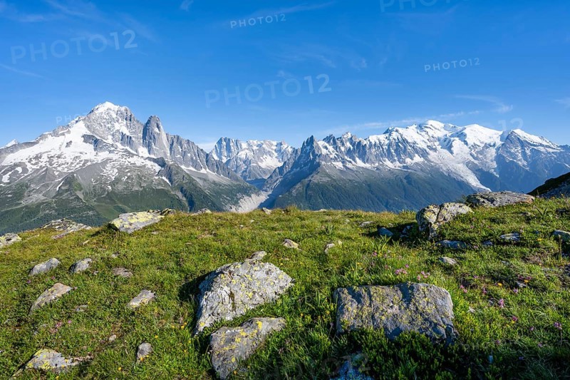 Mountain meadow and mountain panorama, mountain peaks Aiguille Verte, Grandes Jorasses and Mont Blanc, Mont Blanc massif, Aiguilles Rouges, Chamonix-Mont-Blanc, Haute-Savoie, France, Europe