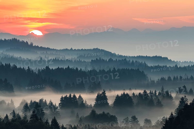 Foggy atmosphere and sunrise over trees, mountains behind, near Bad Kohlgrub, Bavaria, Germany, Europe