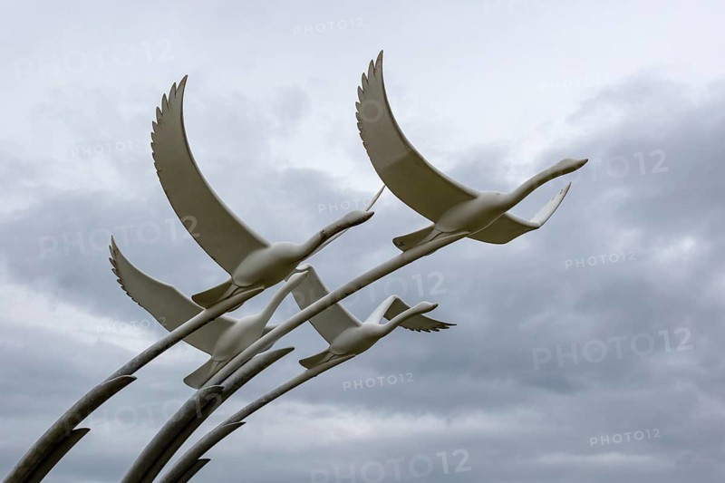 Detailed sculpture of flying birds, taken from below, Ballycastle