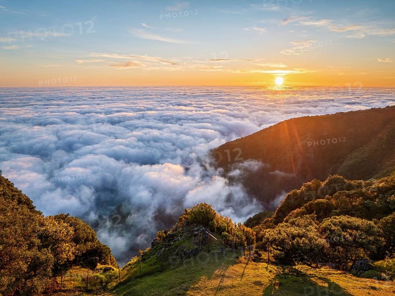 Aerial view of sunrise above clouds and green hills at Fanal mountain, Madeira island, Portugal, Europe