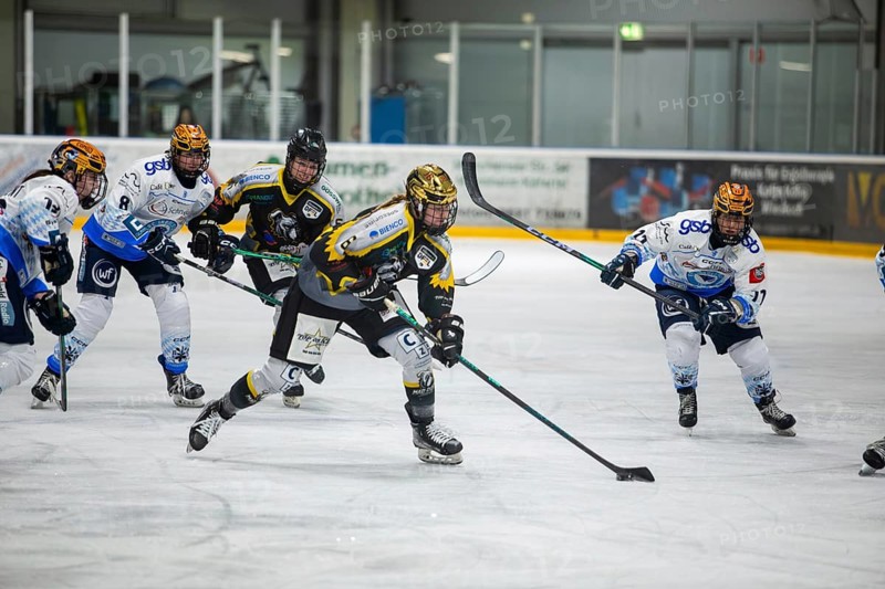 07.12.2024: German Women's Ice Hockey League, 2024/25 season: Mad Dogs Mannheim vs ERC Ingolstadt