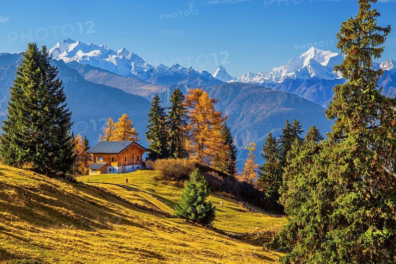 Autumn landscape with chalets and panorama of Dom 4545m, Matterhorn 4478m and Weisshorn 4505m, Bettmeralp, Goms, Rhone Valley, Upper Valais, Valais, Switzerland, Europe