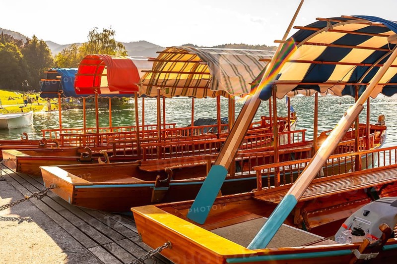 Colorful wooden pletna boats with canopies moored on the shore of lake bled, famous tourist attraction in the julian alps, slovenia