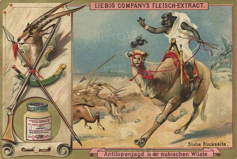 Picture series Hunting, Antelope hunt in the desert of Nubia, Liebig picture, digitally restored reproduction of a collector's picture from ca 1900, public domain, exact date unknown, A hunter on a camel hunts antelopes in an exotic desert landscape