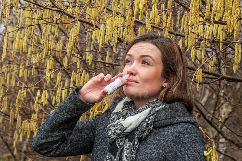 Young Caucasian woman with allergy problem stands by flowering hazel bush and sprays her nose in Ystad, Skåne County, Sweden, Scandinavia, Europe