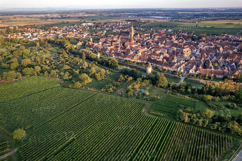 Vineyard and town view of Bergheim seen from the air, Alsace, France, Europe