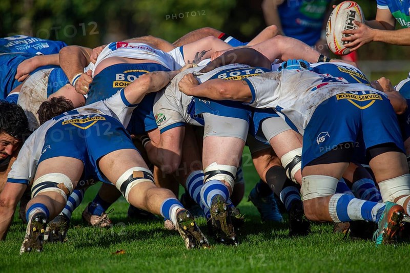 26.10.2024, Rugby 1st Bundesliga South/West, Season 2024/25, Matchday 6: SC Neuenheim vs TSV Handschuhsheim