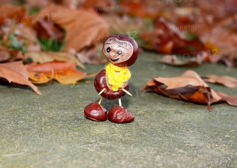 Funny chestnut figure with yellow scarf on a wall in autumn leaves, North Rhine-Westphalia, Germany, Europe