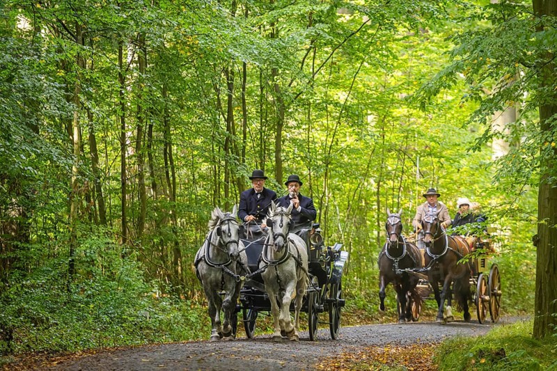 Presentation and route ride, all carriages in stylish tension, popular sporting event over approx. 30 km. An event organised by Reit- und Fahrverein Moritzburg e.V., 29th Moritzburger Teichrundfahrt, Moritzburg, Saxony, Germany, Europe