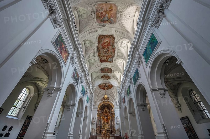 Frescoes on the vaulted ceiling in the centre aisle and chancel, Neumünster, collegiate church, Würzburg, Lower Franconia, Bavaria, Germany, Europe