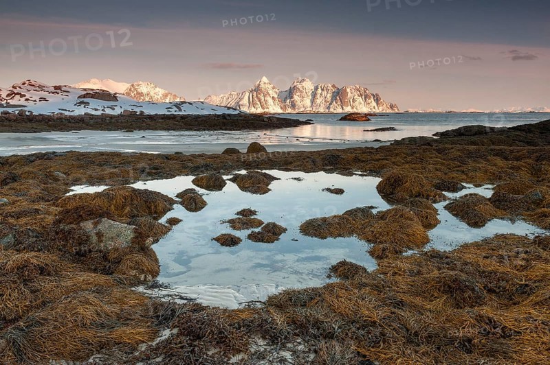 Rugged mountains, Lofoten island Vestvågøya at the fjord Gimsøystraumen, Lofoten, Northern Norway, Norway, Europe