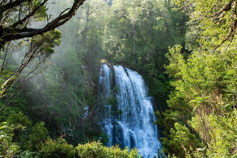 Waterfall in the jungle, Pumalin-Douglas Tompkins National Park, Chaiten, Los Lagos region, Patagonia, Chile, South America
