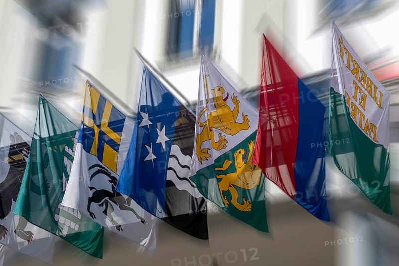 Symbolic photo cantonal flags Appenzell Ausseroden, St. Gallen, Graubünden, Aargau, Thurgau, Ticino, Vaud, Switzerland, Europe