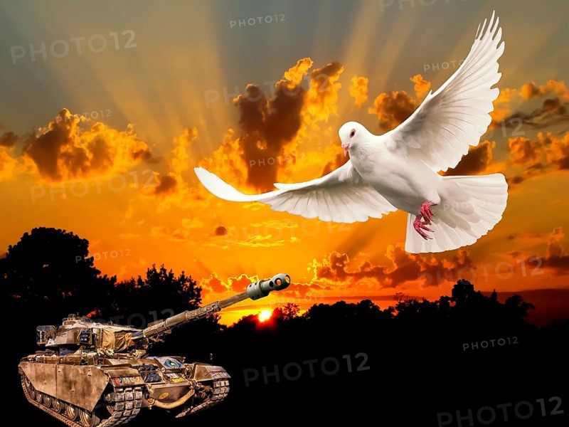Symbolic image, dove of peace, peoples, international understanding, peace, threat of war, freedom, border conflicts, secure borders, humanism, democracy, aggressor, security, weapons, armament, armour, imminent danger