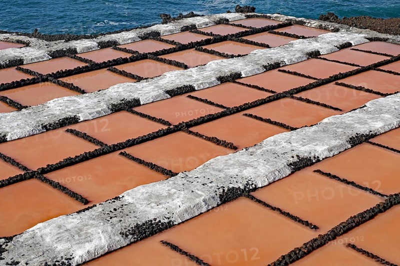 Salt pans with reddish water basins in a geometric arrangement near the sea, salt pans, Fuencialente, La Palma, Canary Islands, Spain, Europe