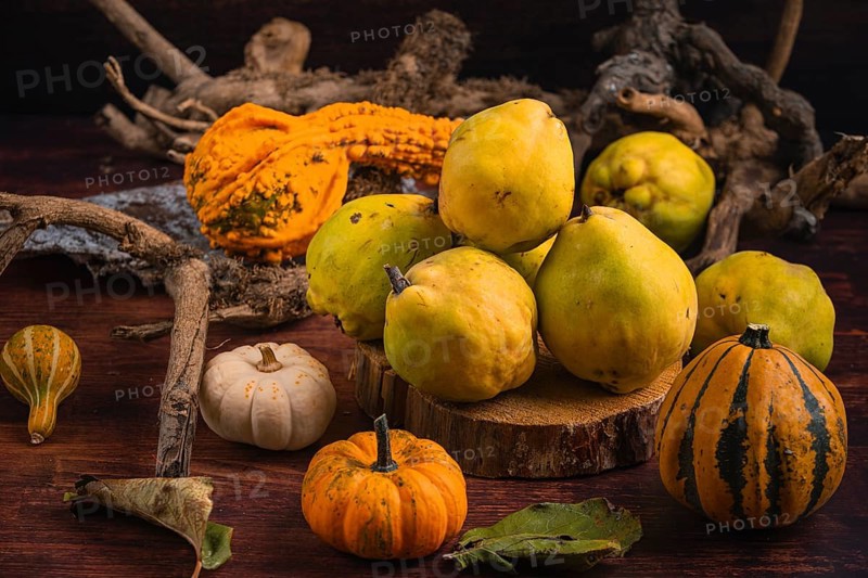 Autumnal still life with quinces, pumpkins and roots on a wooden table