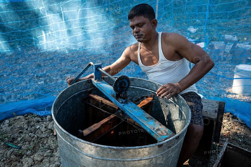 Beekeeper extracting honey in a machine from honeycombs in a honey production unit near a mustard field on December 17, 2024 in Barpeta, India.