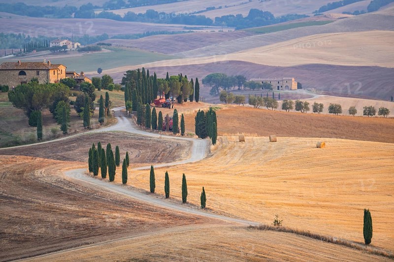 Typical Tuscan landscape in Val d'Orcia with hills, trees, fields, cypresses and farm road in autumn, sunset, gladiator film location, San Quirico d'Orcia, Val d'Orcia, Orcia Valley, UNESCO World Heritage Site, Siena Province, Tuscany, Italy, Europe