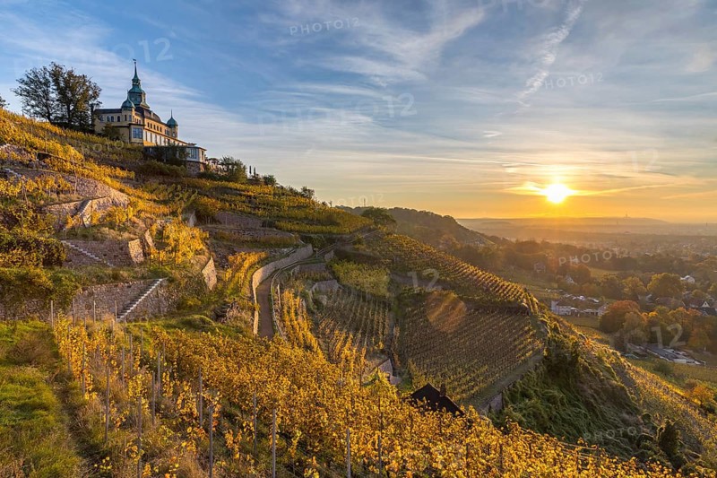 Restaurant Spitzhaus in the autumnal vineyards of Oberlößnitz at sunrise, Radebeul, Saxony, Germany, Europe