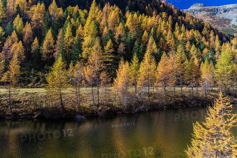 Fall foliage seen from the Malta Hochalm road. Carithia, Austria, Europe