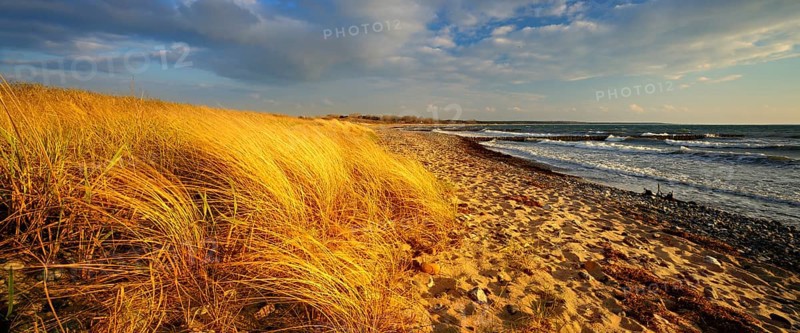 Lonely empty beach in the evening light, beach grass bends in the wind, blue sky with clouds, Dranske, Island Rügen, Mecklenburg-Vorpommern, Germany, Europe