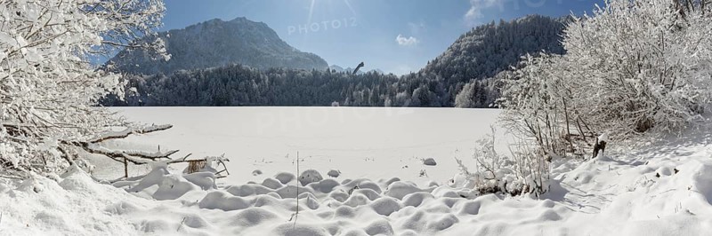 Freibergsee in winter, near Oberstdorf, behind it the Himmelschrofen, 1791m, and the Heini-Klopfer ski jump, Allgäu Alps, Oberallgäu, Allgäu, Bavaria, Germany, Europe