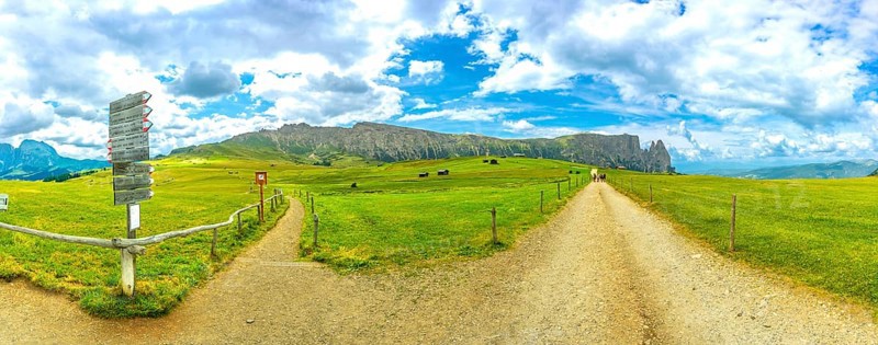 Hiking trails diverge in the lush meadows of alpe di siusi, with tourists walking towards the sciliar massif under a bright summer sky in the dolomites