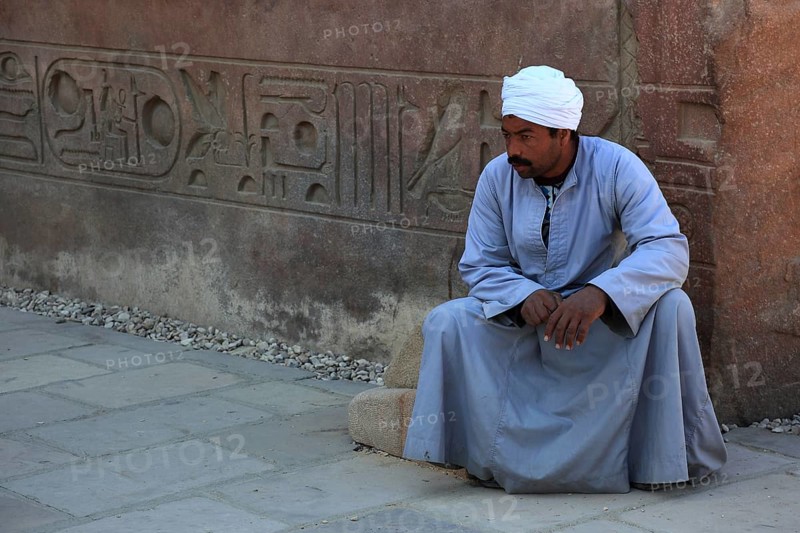 Temple of Luxor, guardians in the temple complex, Africa, Egypt, UNESCO World Heritage Site, Africa