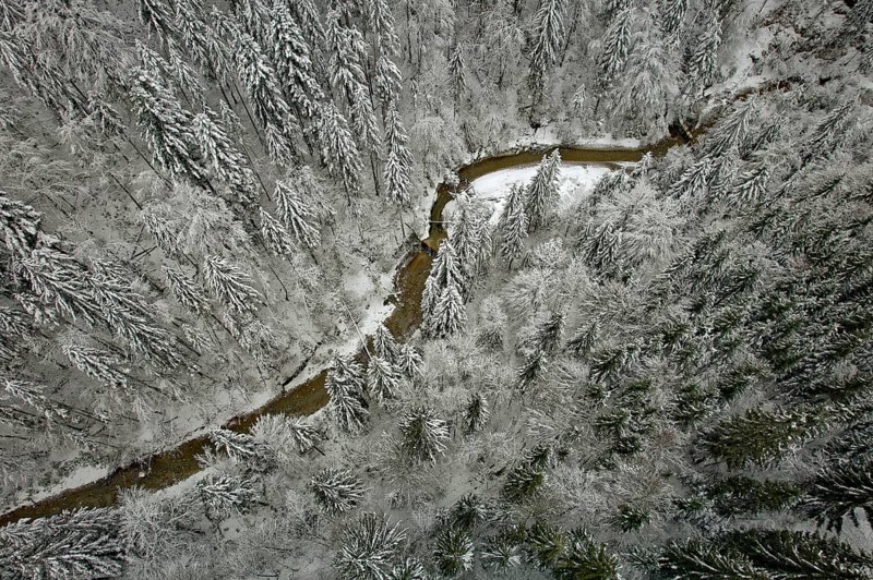 Gießenbach, winter, snow-covered trees, drone shot, without horizon, Kiefersfelden, Upper Bavaria, Bavaria, Germany, Europe